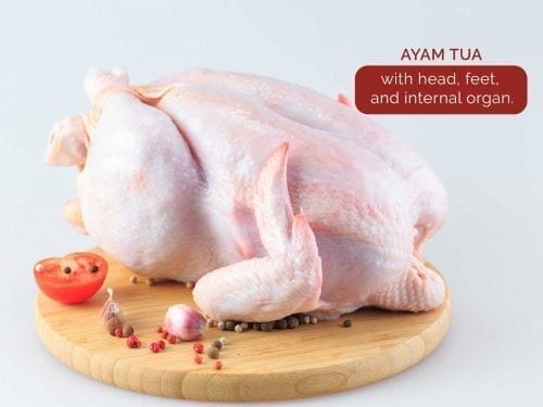 Ayam Tua | Fresh Halal Chicken Delivery | Fresh Ayam King